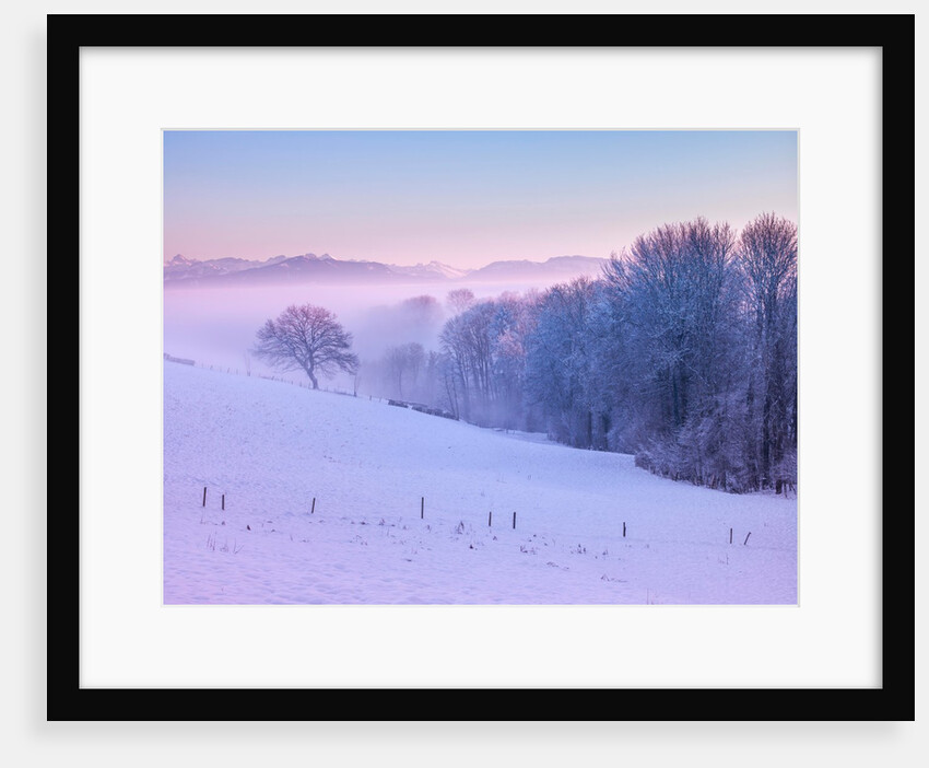 Winter landsacpe in Switzerland by Assaf Frank